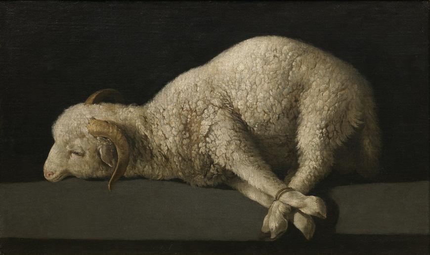 Francisco de Zurbarán, Agnus Dei (c. 1635–1640), (c) Wikimedia Commons
